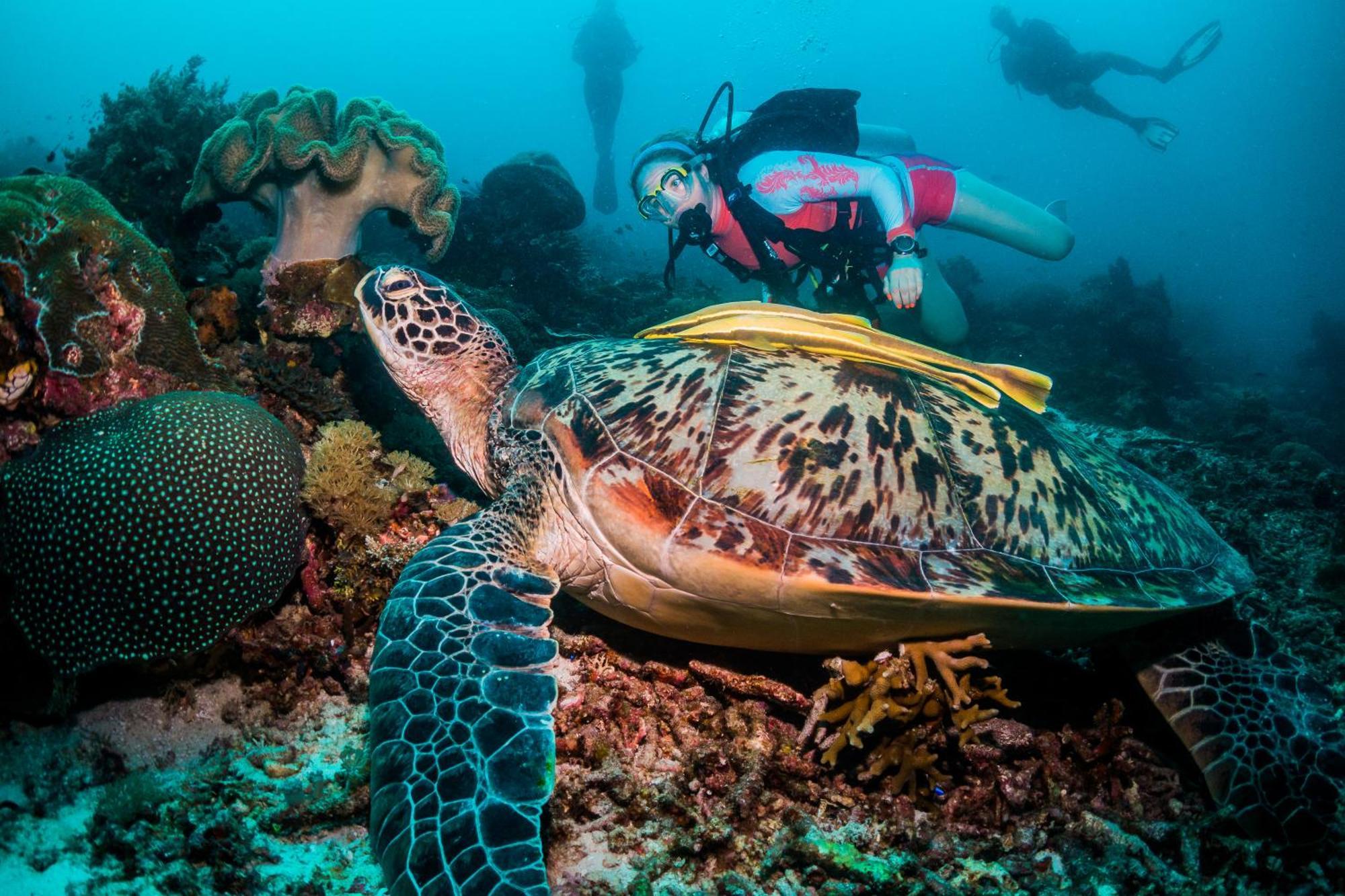 Scuba Republic Beach Bungalows Tapokreng Dış mekan fotoğraf